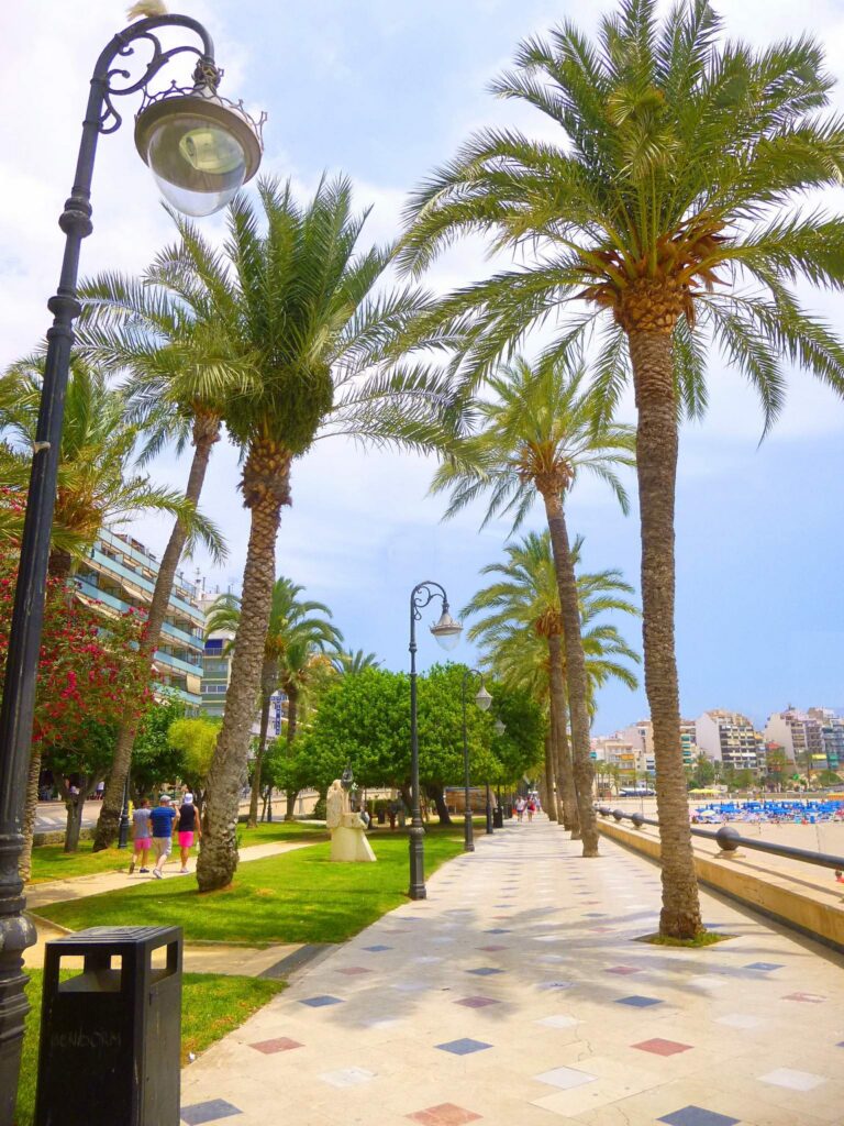 Palmeras y paseo del Parque de Elche