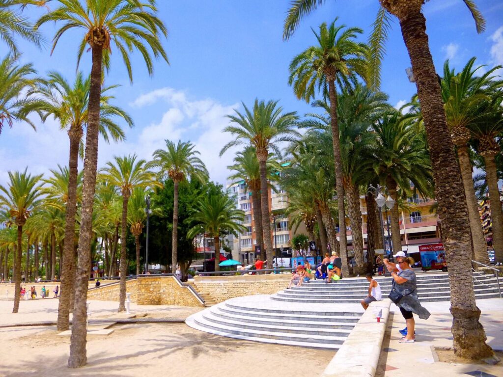 Entorno urbano del Parque de Elche