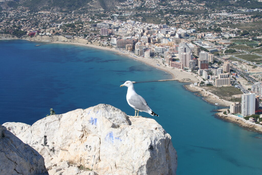 Imagen de Calpe para Calpe – Jávea